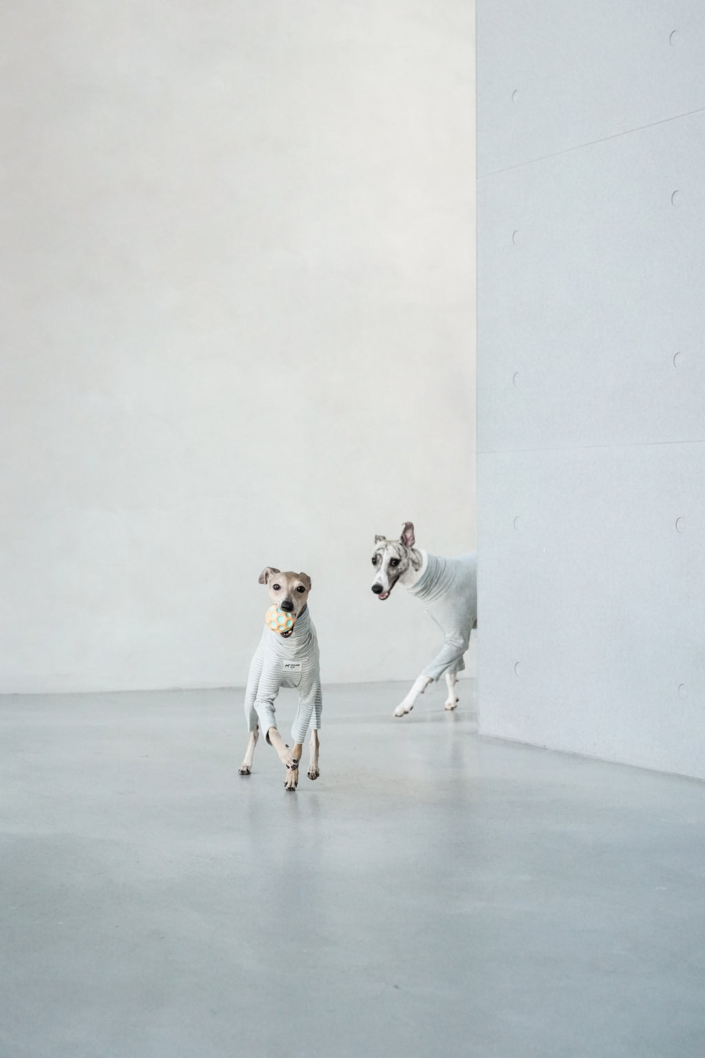 Sighthound cozy stripes onsie