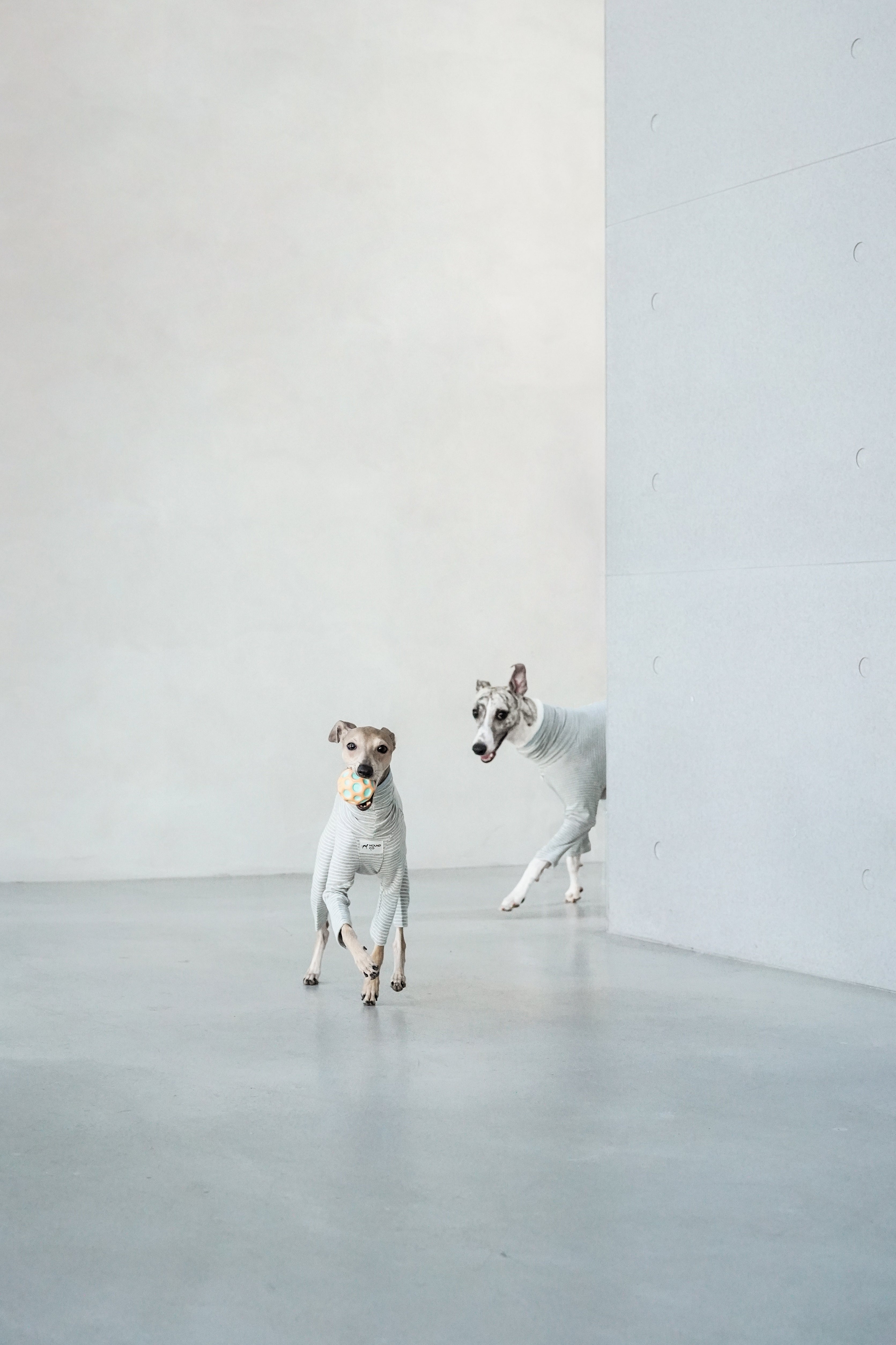 Sighthound cozy stripes onsie