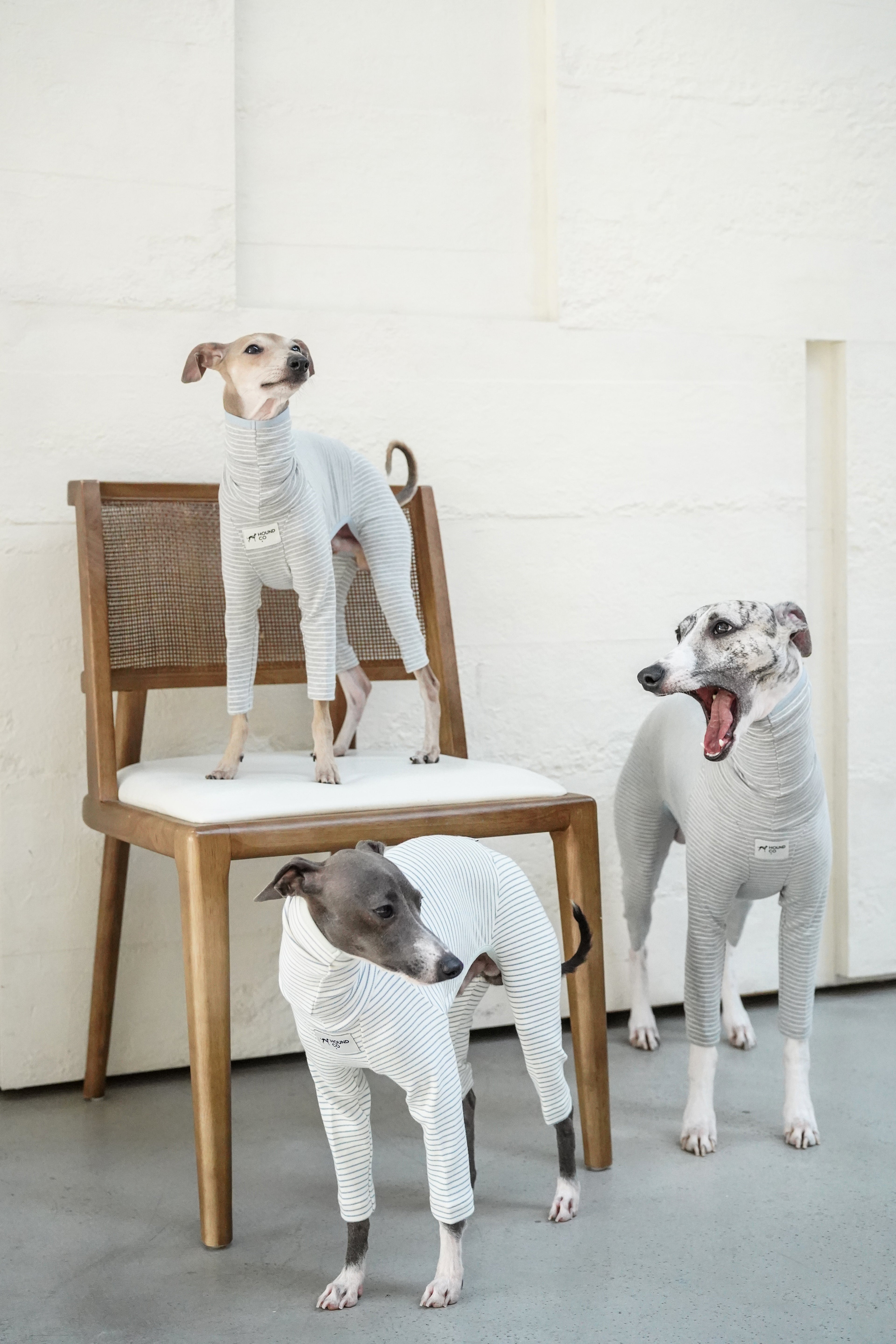 Sighthound cozy stripes onsie