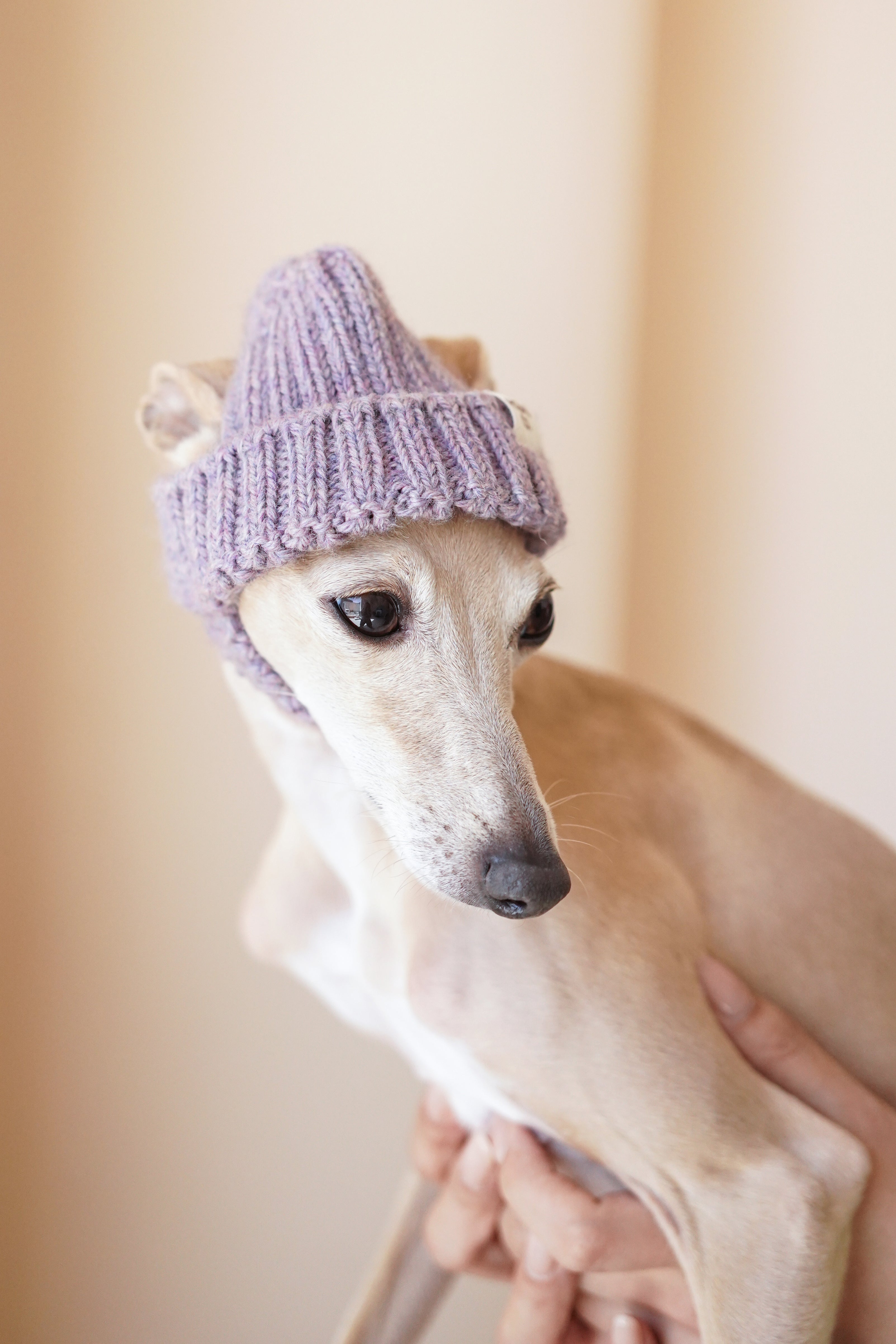 Wool knit hat「Lavender」