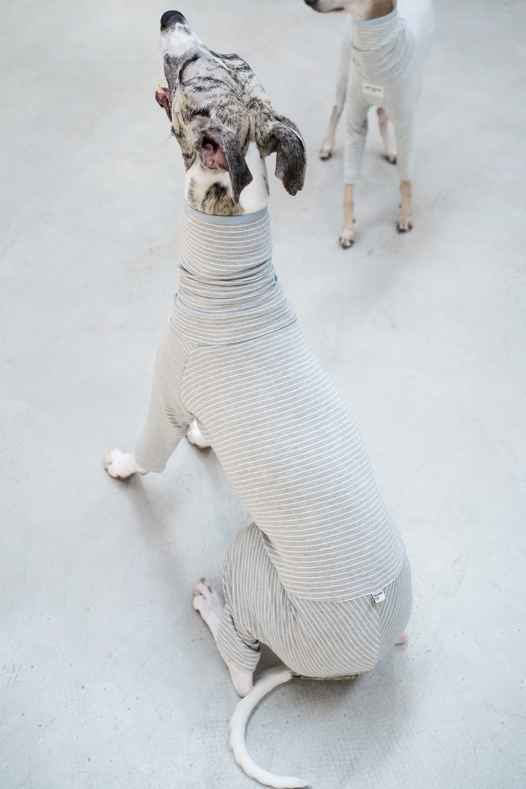 Sighthound cozy stripes onsie