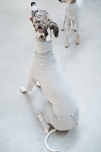 Sighthound cozy stripes onsie