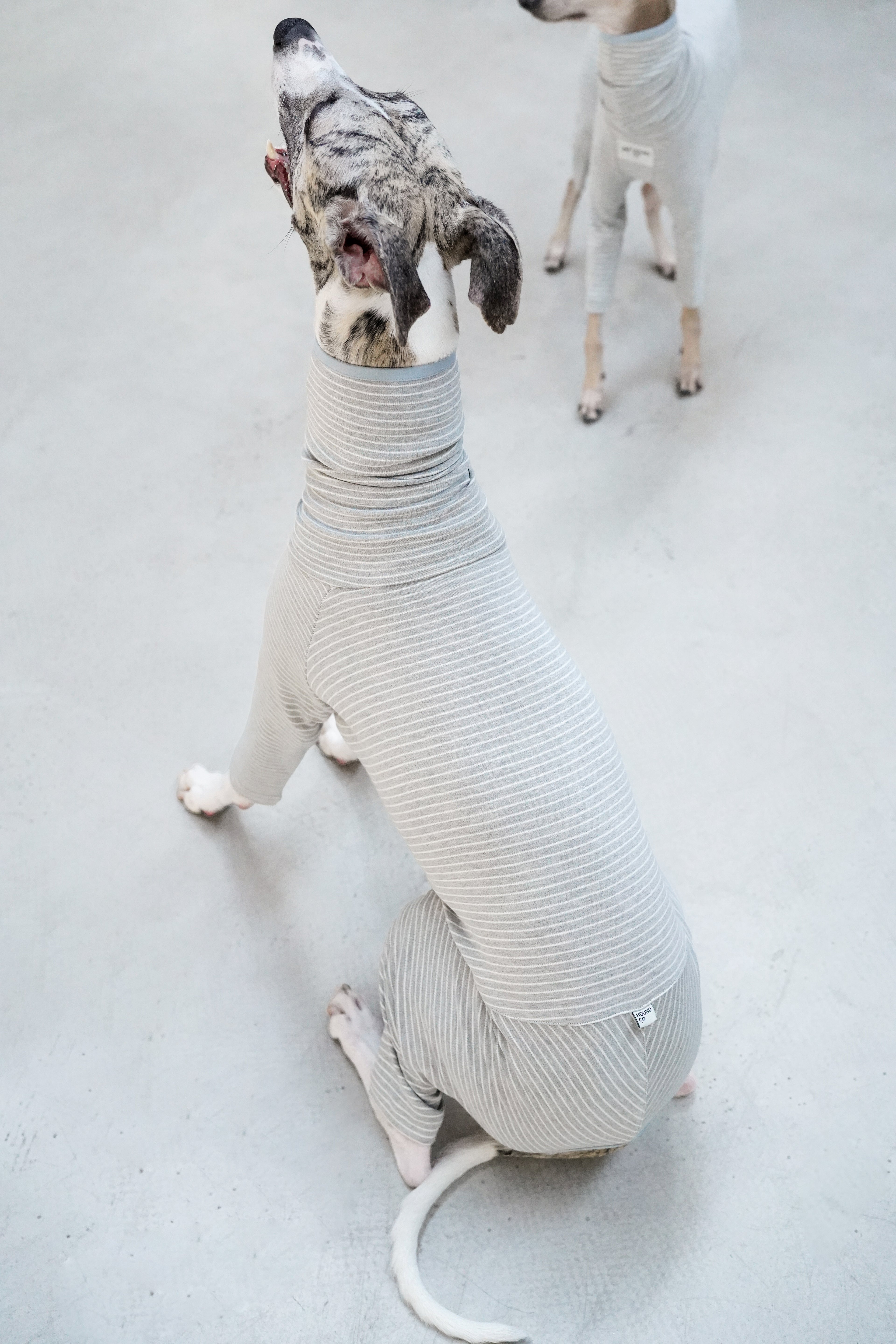 Sighthound cozy stripes onsie