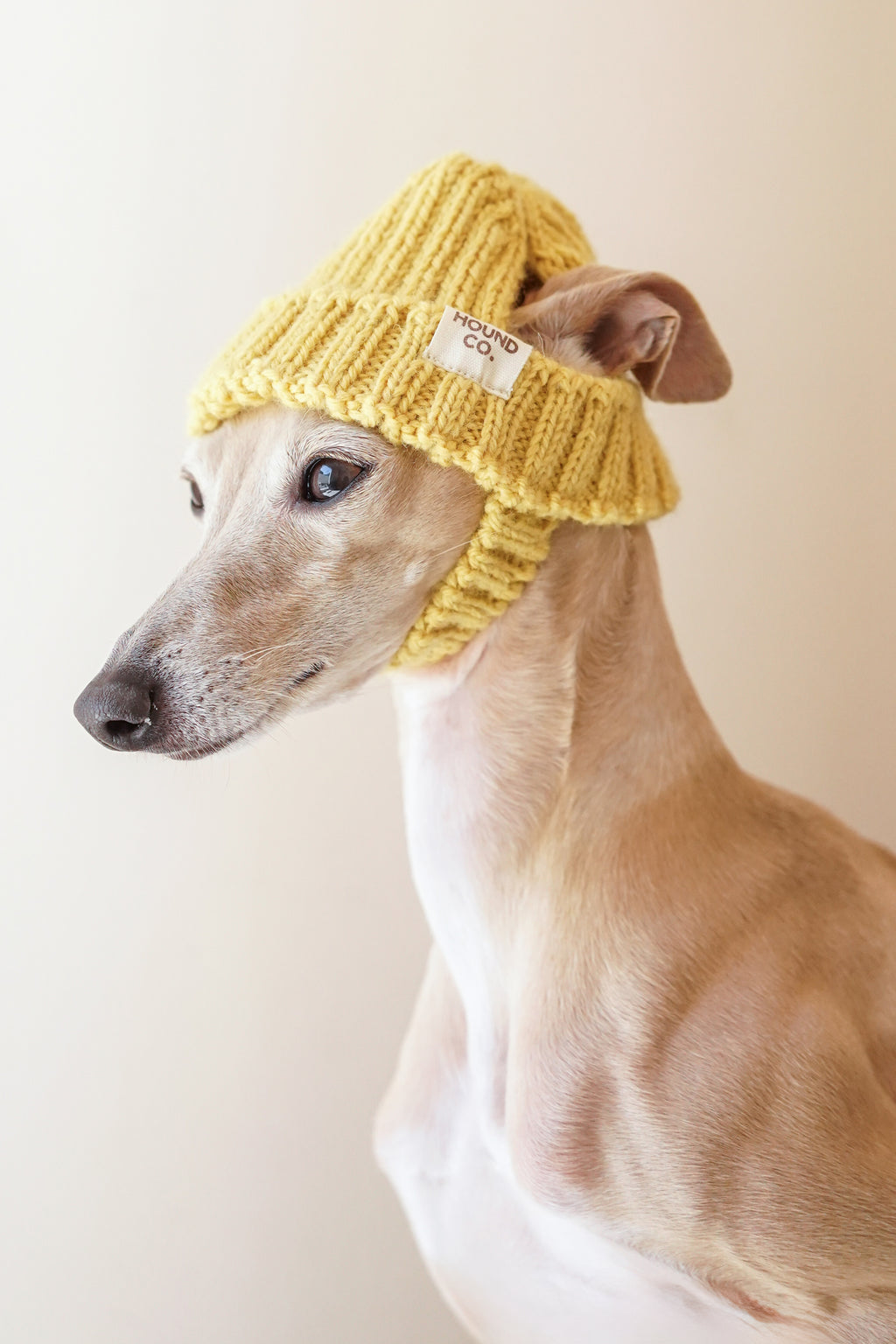 Wool knit hat「Buttercream」