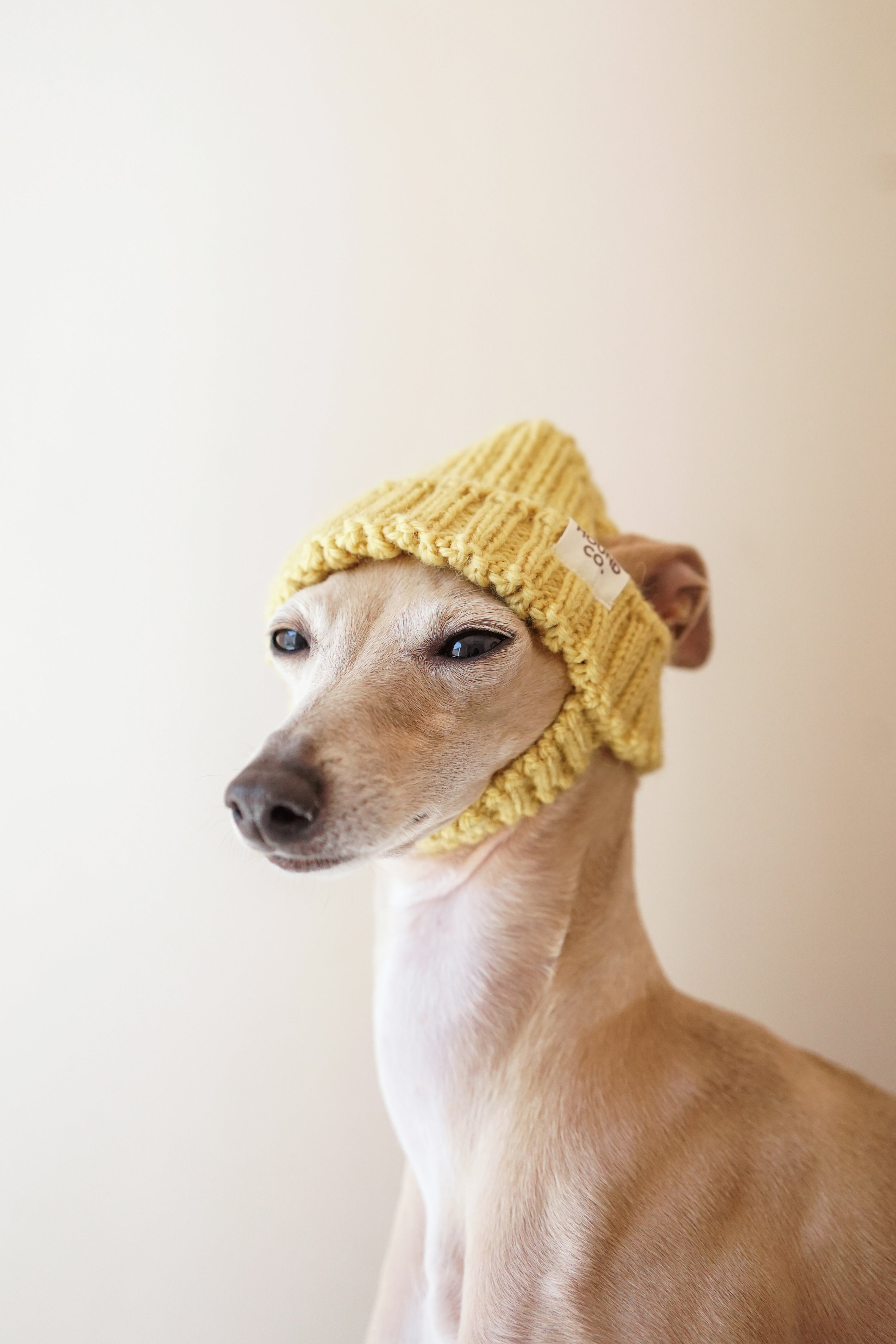 Wool knit hat「Buttercream」