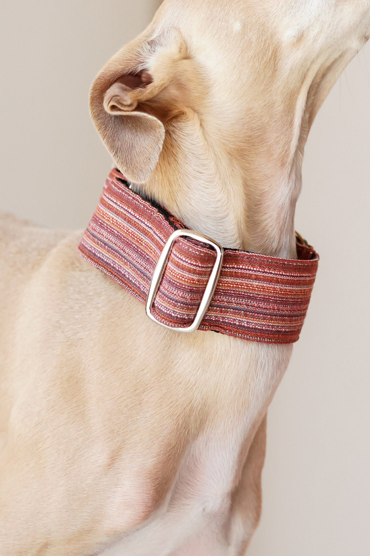 Martingale Collar Autumn Berries