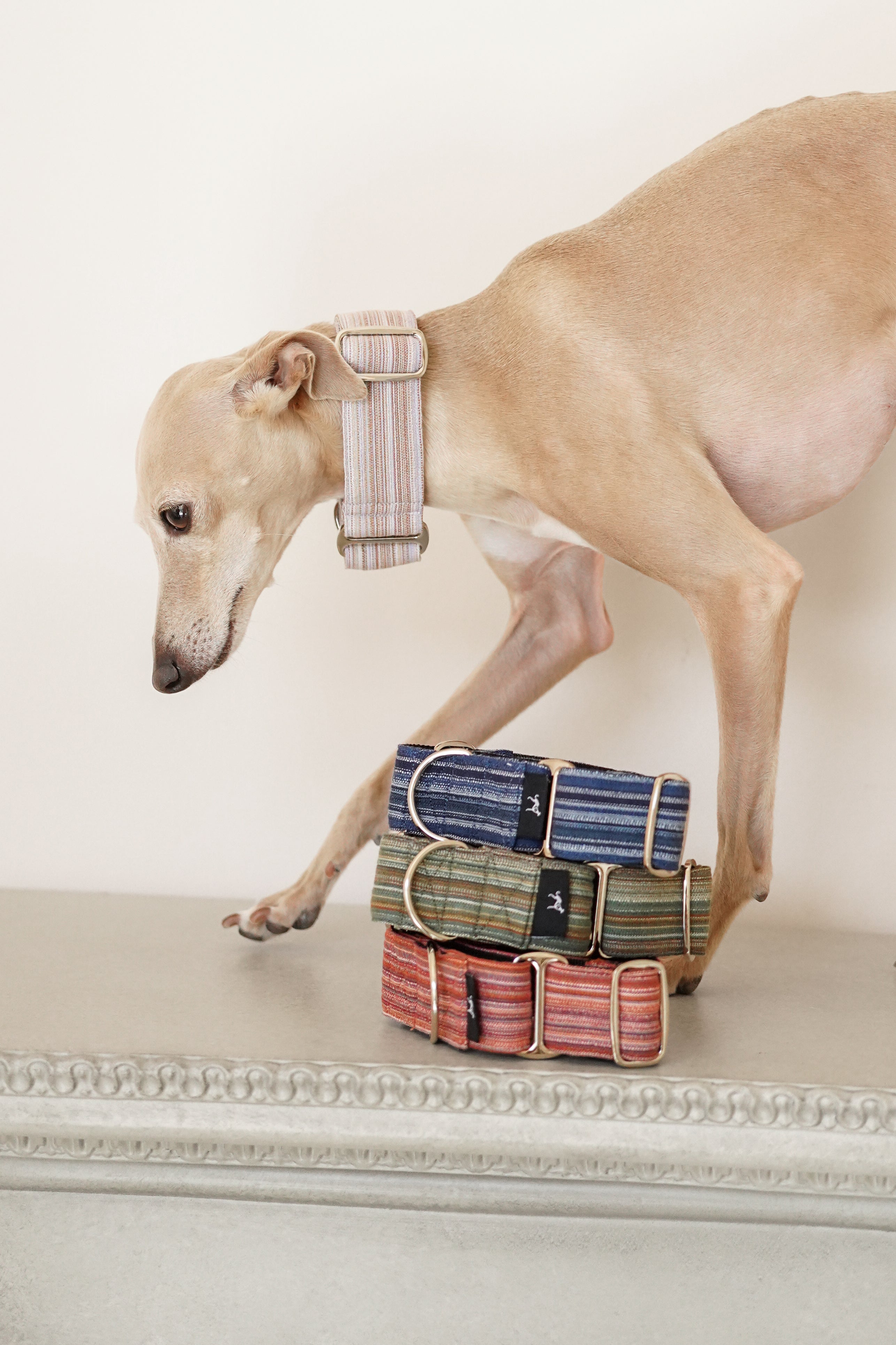 Martingale Collar Moss Meadow