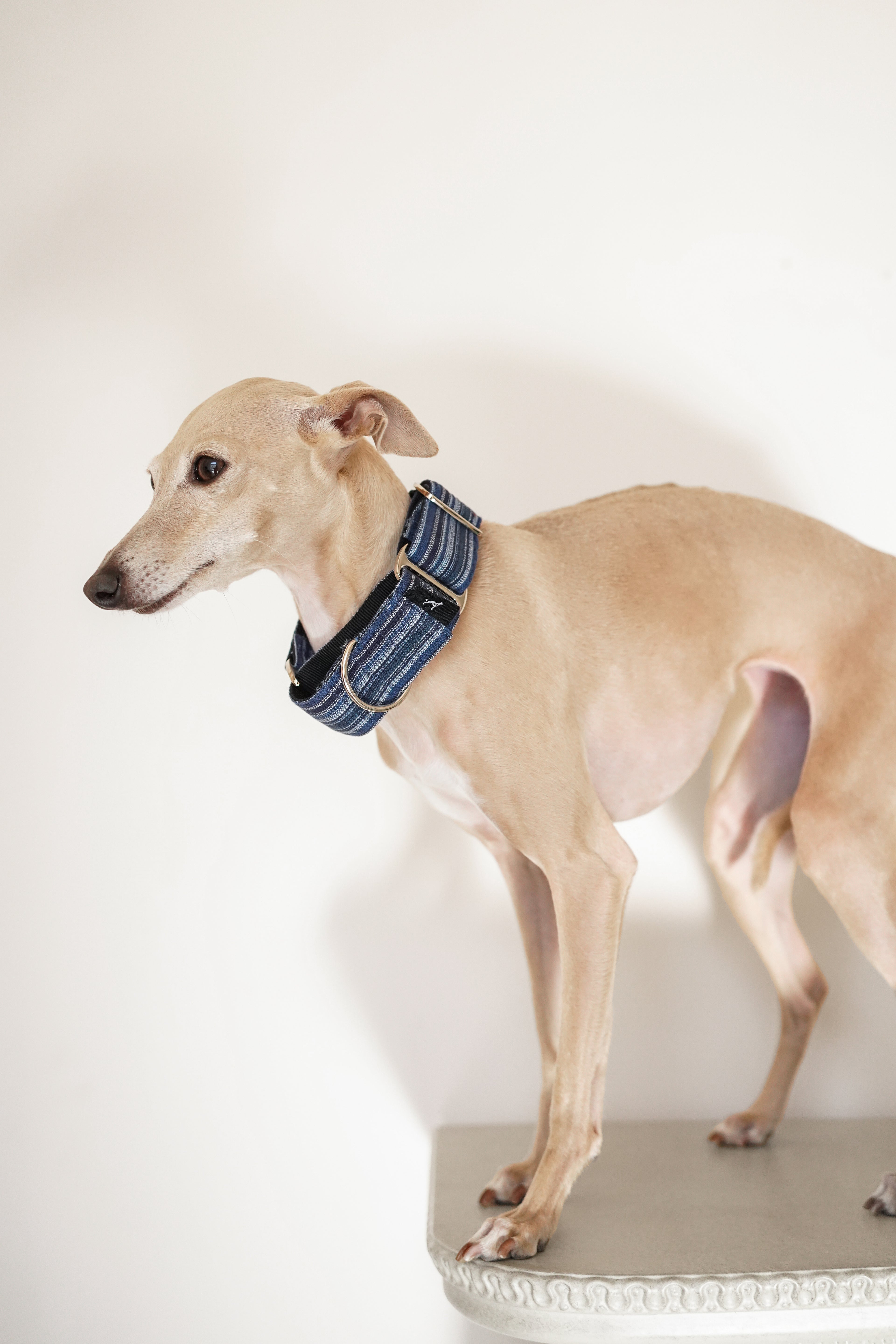 Martingale Collar Ocean depth