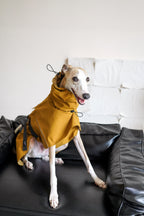 Fast wear raincoat for all breeds