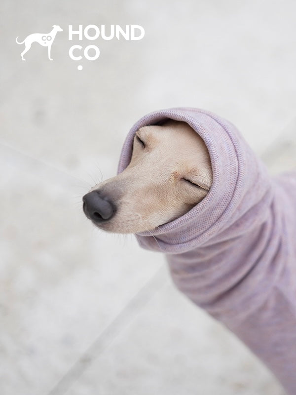 Pajama for Sighthound