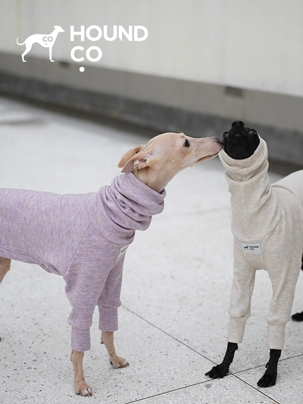 Pajama for Sighthound