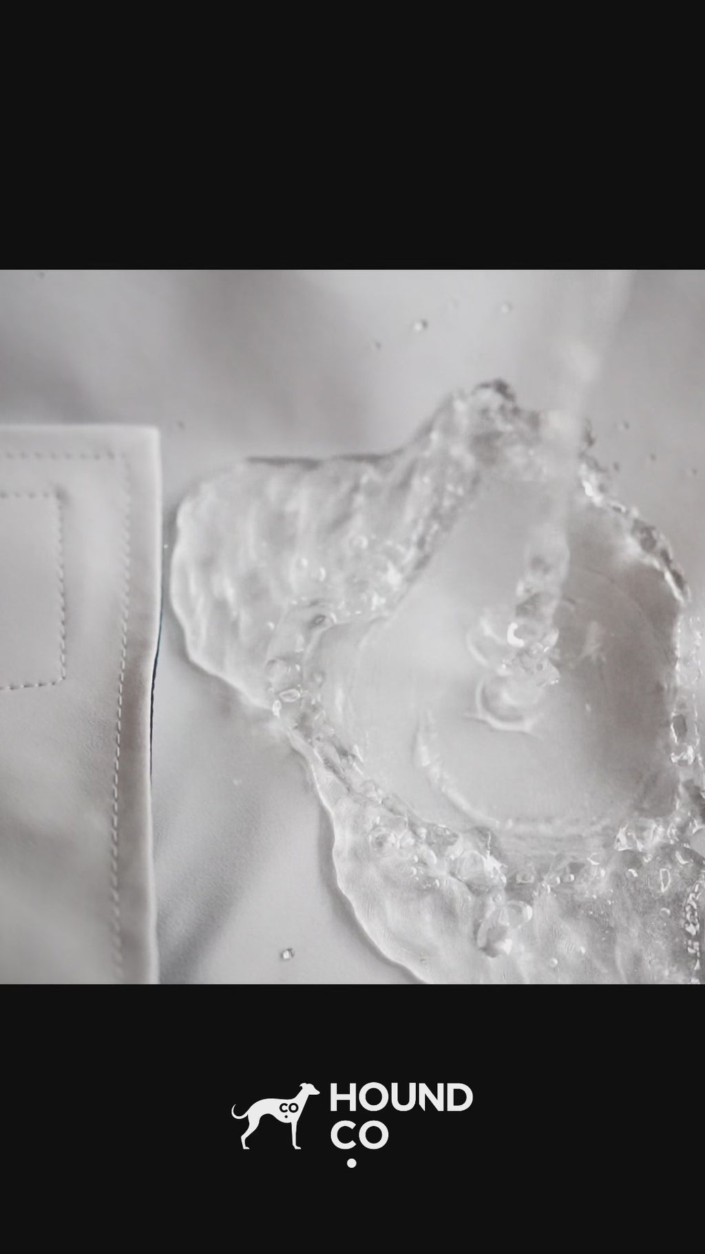 Lightweight Raincoat for Sighthound