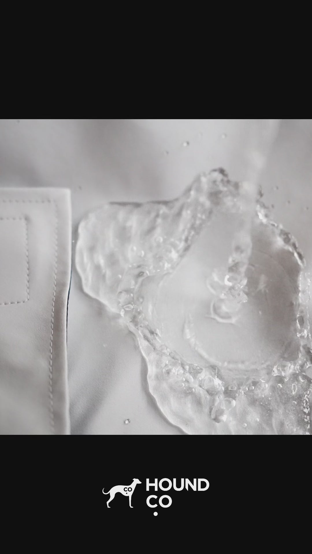 Lightweight Raincoat for Sighthound