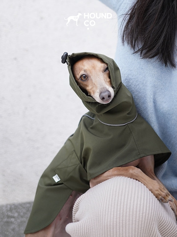 Lightweight Raincoat for Sighthound