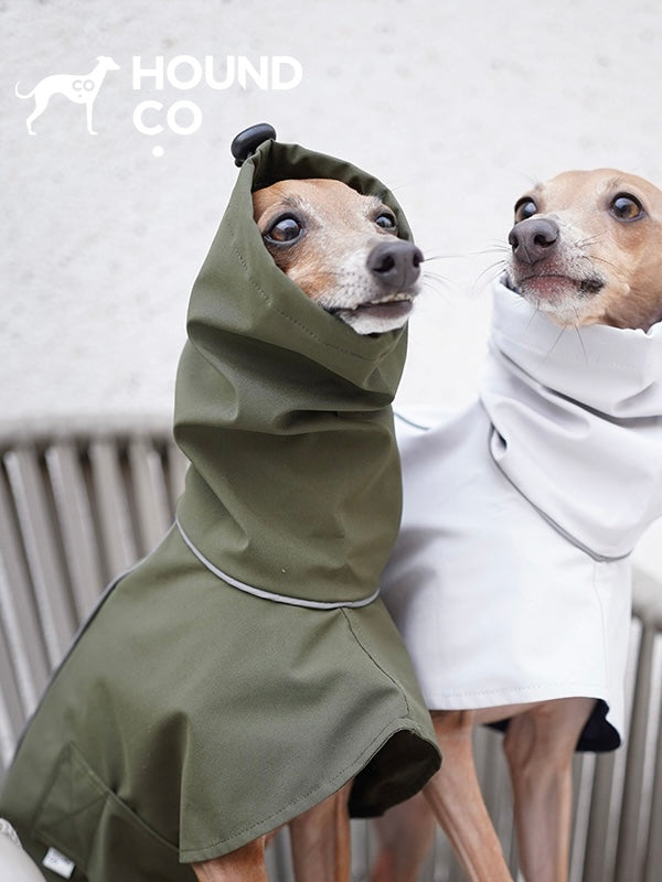 Lightweight Raincoat for Sighthound