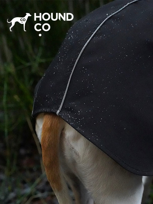 Lightweight Raincoat for Sighthound